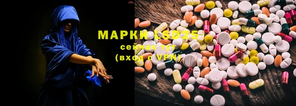 индика Беломорск