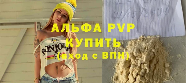 дмт Богданович