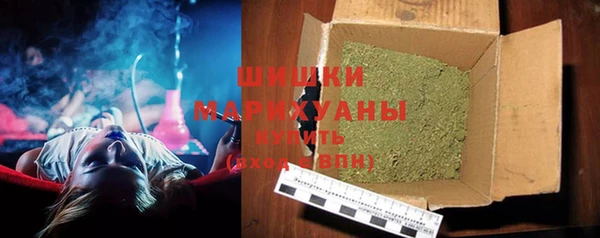 дживик Богородицк