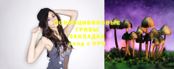 мескалин Богородск