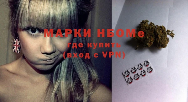 индика Беломорск