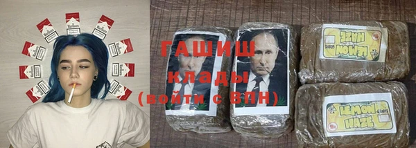 дмт Богданович