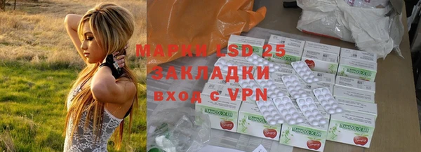 дмт Богданович