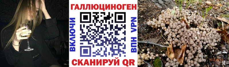 Псилоцибиновые грибы MAGIC MUSHROOMS  даркнет сайт  ссылка на мегу   Берёзовский 